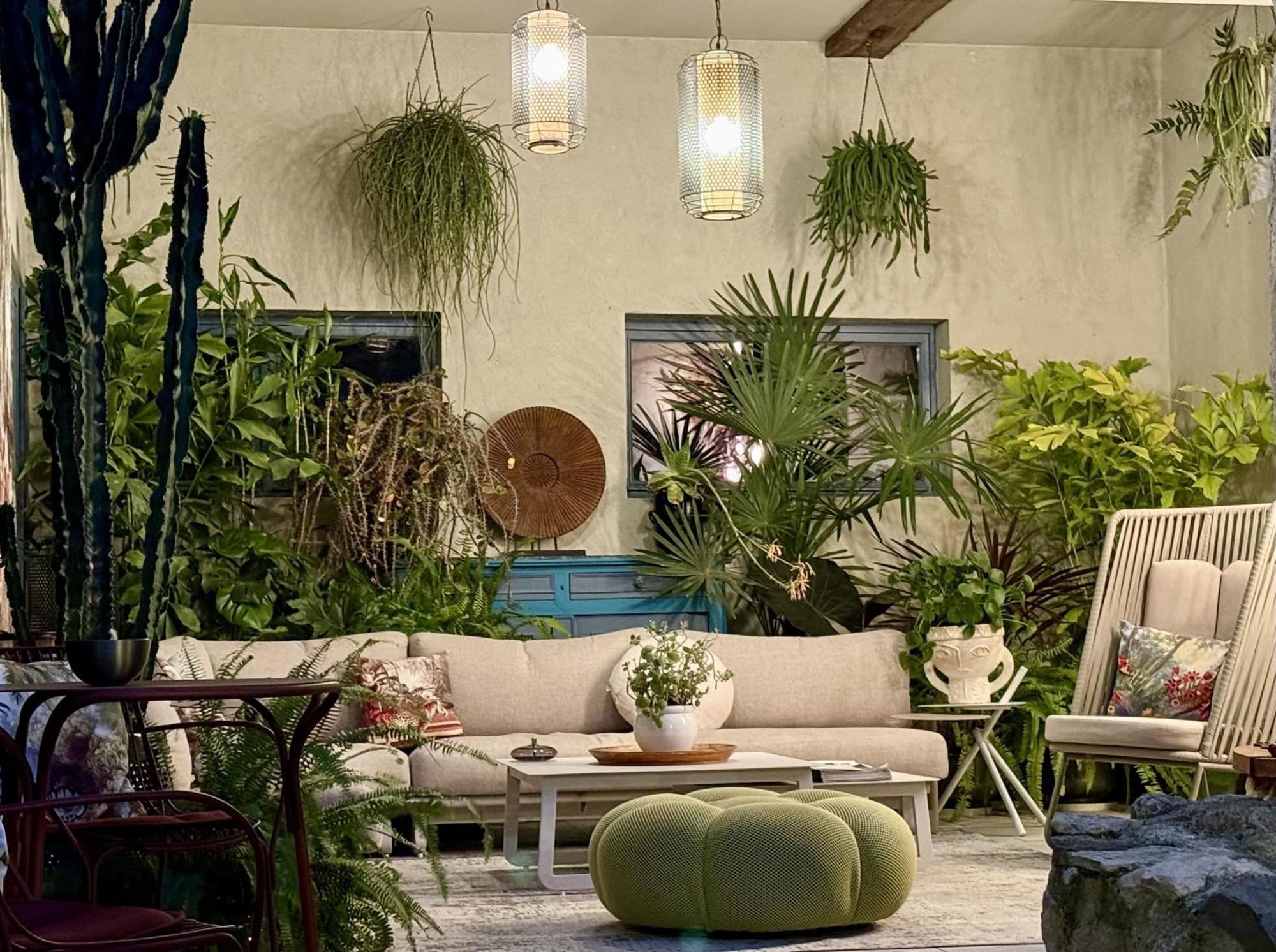 L'Oiseau Bleu Peacock Bed & Breakfast Roubia Dış mekan fotoğraf